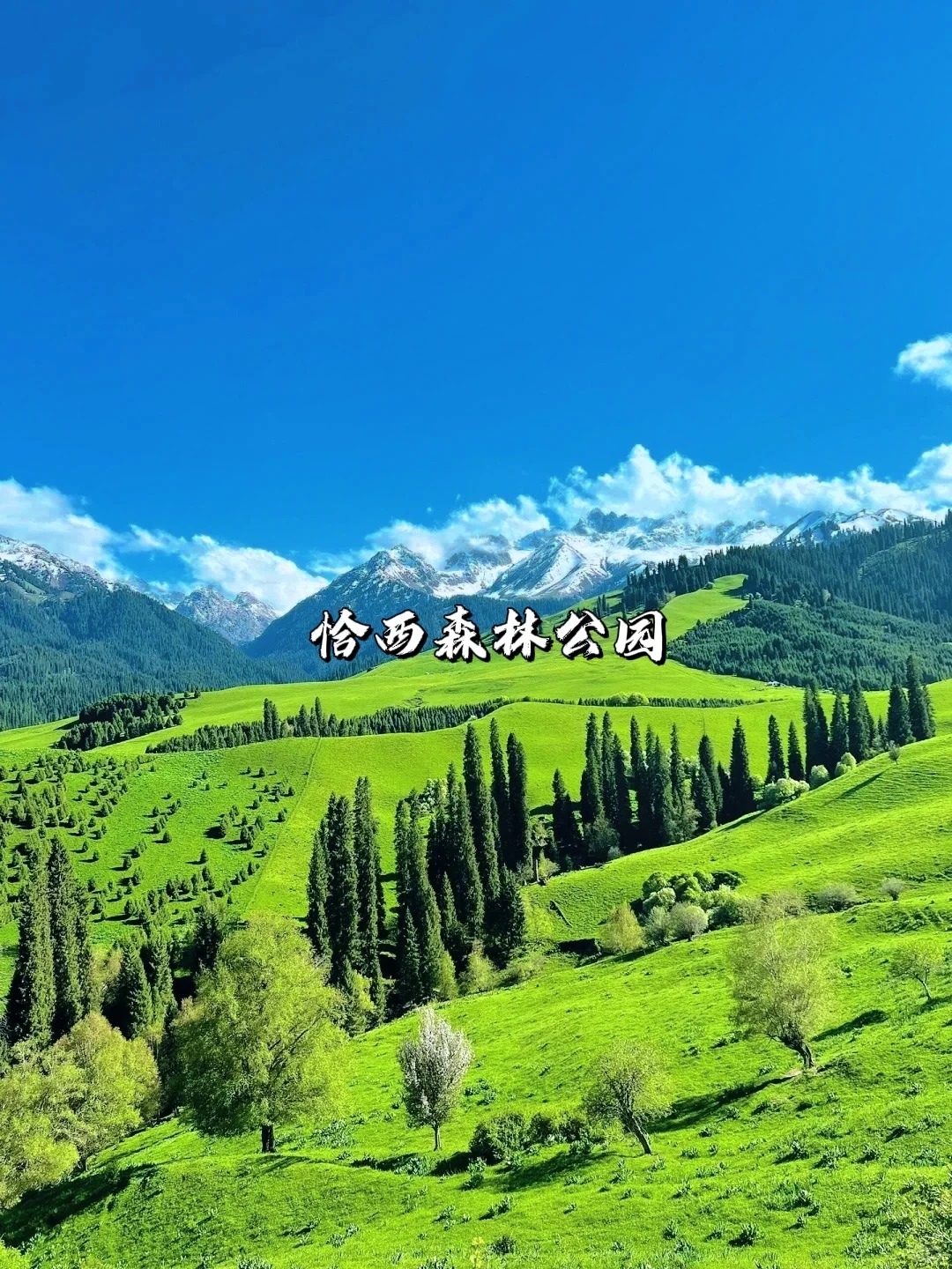 一次性讲清楚｜新疆伊犁八大草原怎么选？_8_风驰旅行_来自tour520旅游攻略